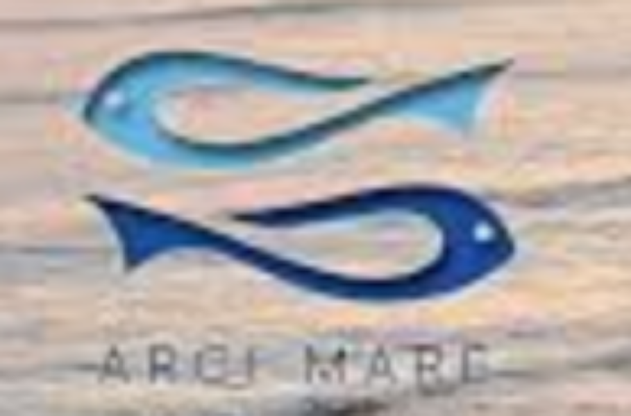 Premiati i nostri alunni